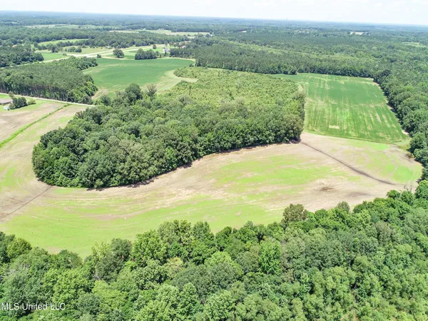 $224,000 | 45 Highway 45, Rienzi, MS 38865