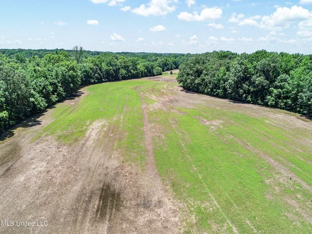 $245,700 | 45 Highway 45, Rienzi, MS 38865