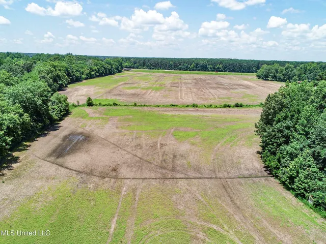 $245,700 | 45 Highway 45, Rienzi, MS 38865