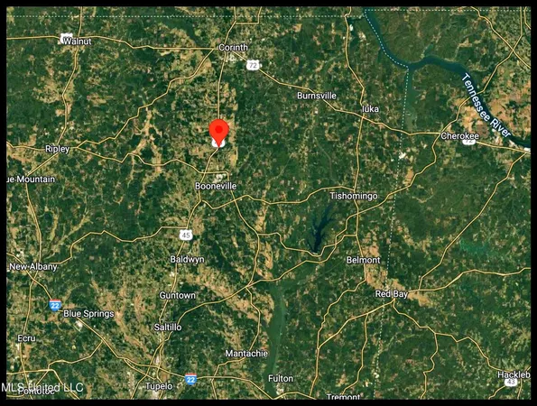 $224,000 | 45 Highway 45, Rienzi, MS 38865