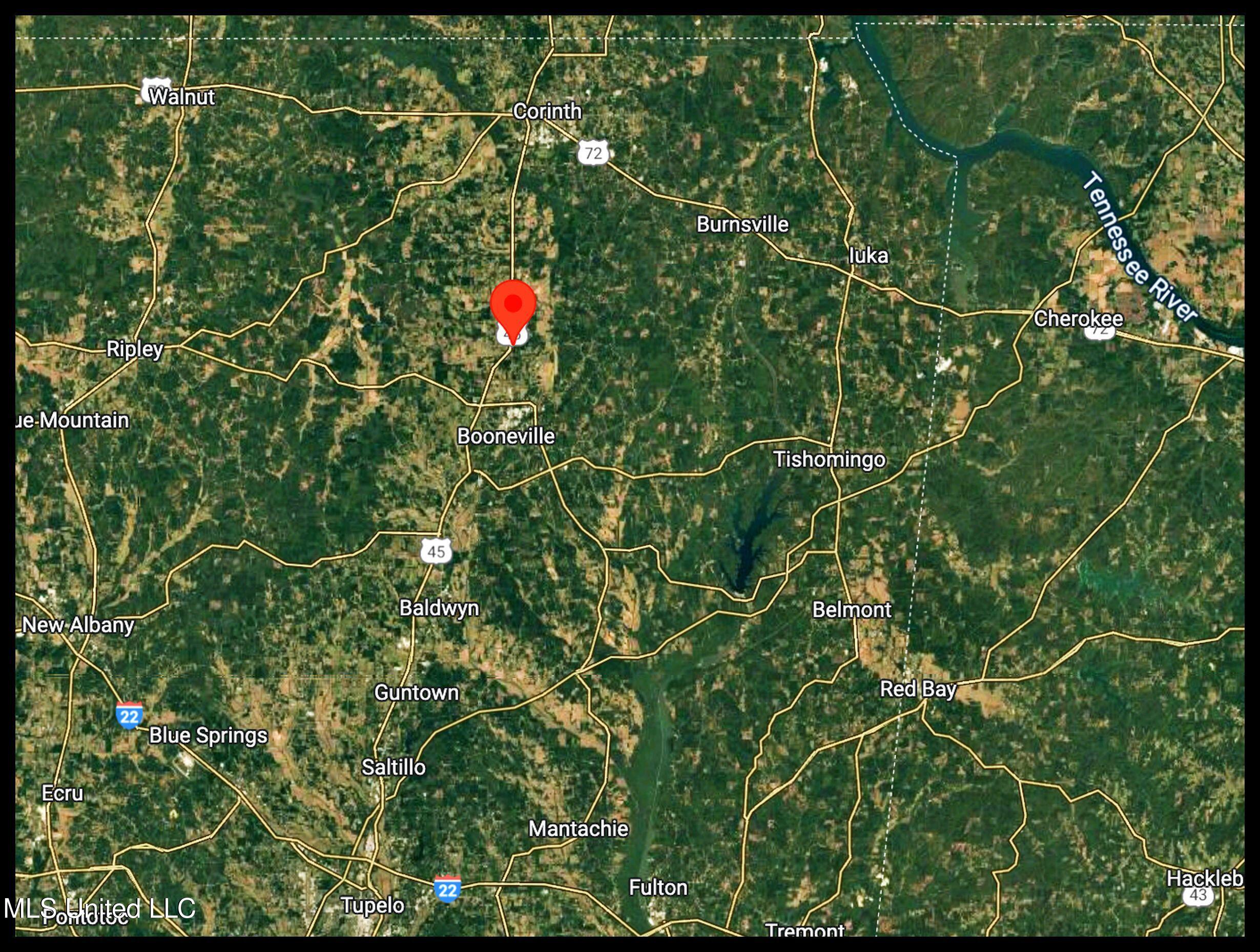 45 Highway 45 Rienzi, MS 38865 - Photo 4 of 67 2tmsnprts2g