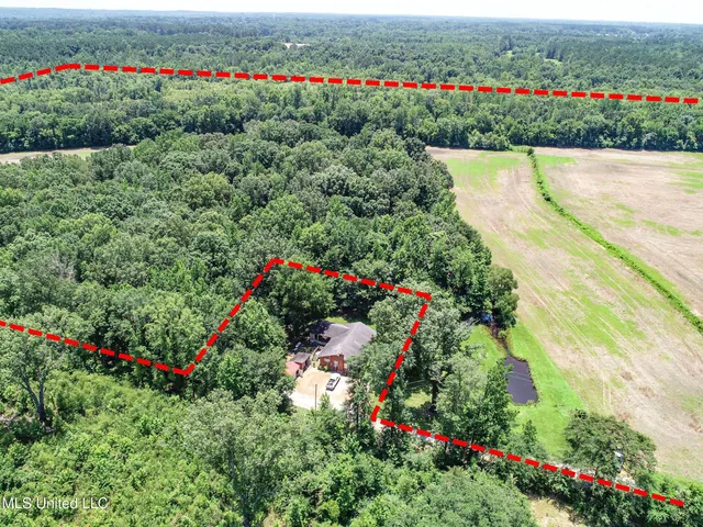 $245,700 | 45 Highway 45, Rienzi, MS 38865