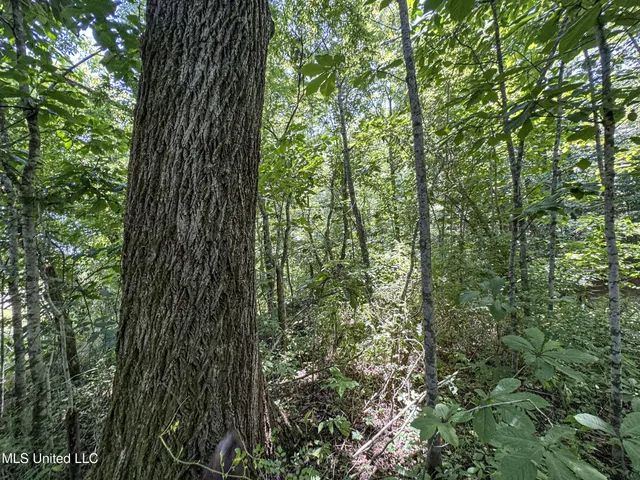 $245,700 | 45 Highway 45, Rienzi, MS 38865