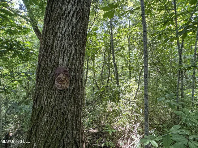 $245,700 | 45 Highway 45, Rienzi, MS 38865