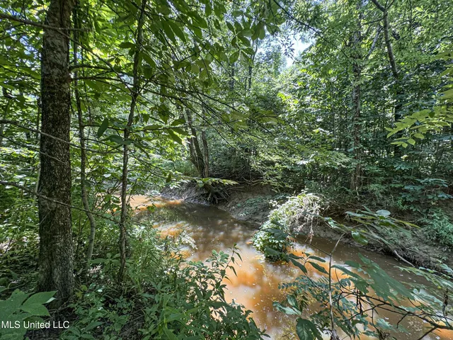 $245,700 | 45 Highway 45, Rienzi, MS 38865