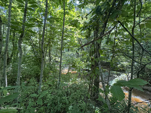 $245,700 | 45 Highway 45, Rienzi, MS 38865