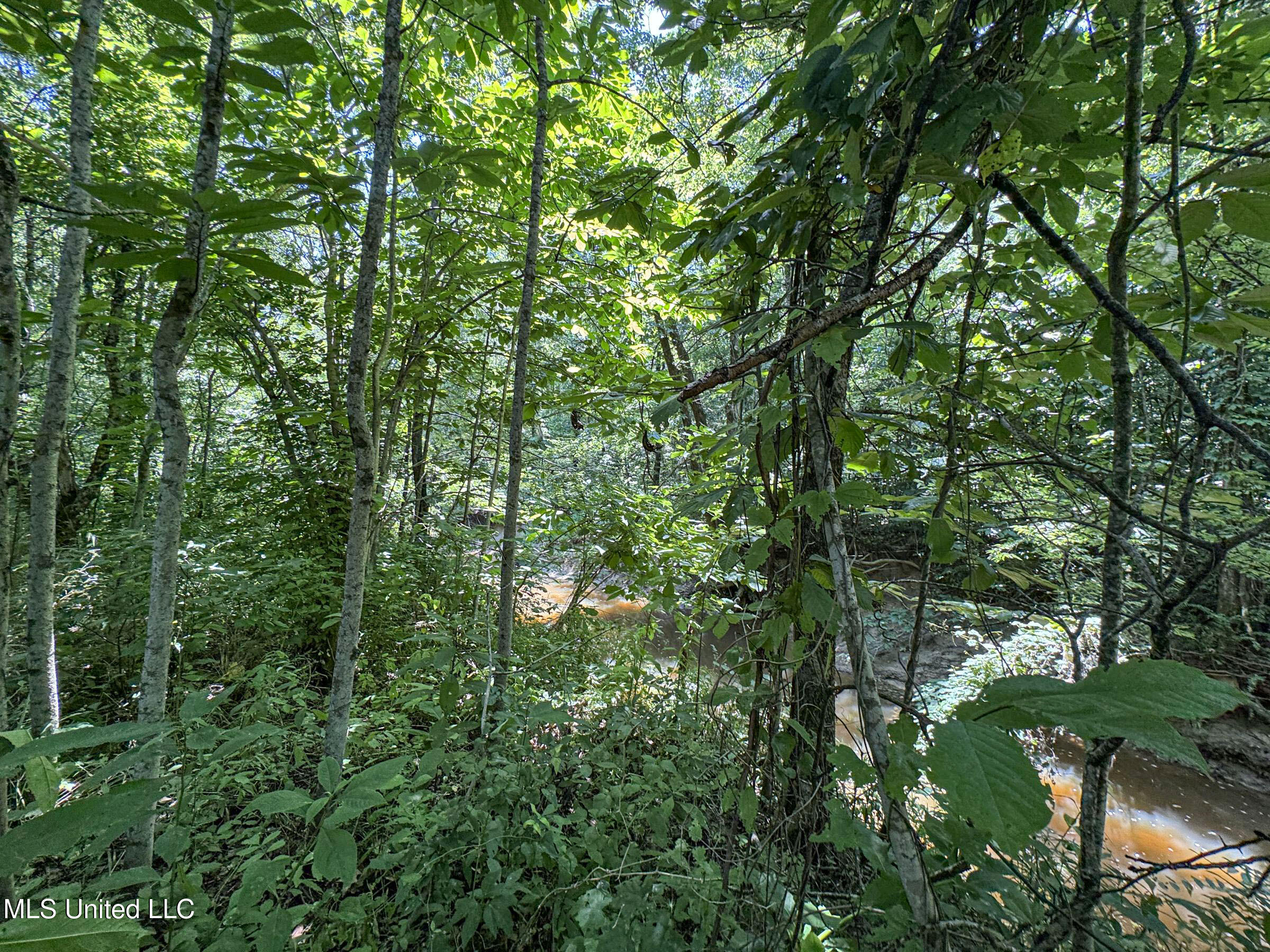 45 Highway 45 Rienzi, MS 38865 - Photo 47 of 67 4tmsnprts6