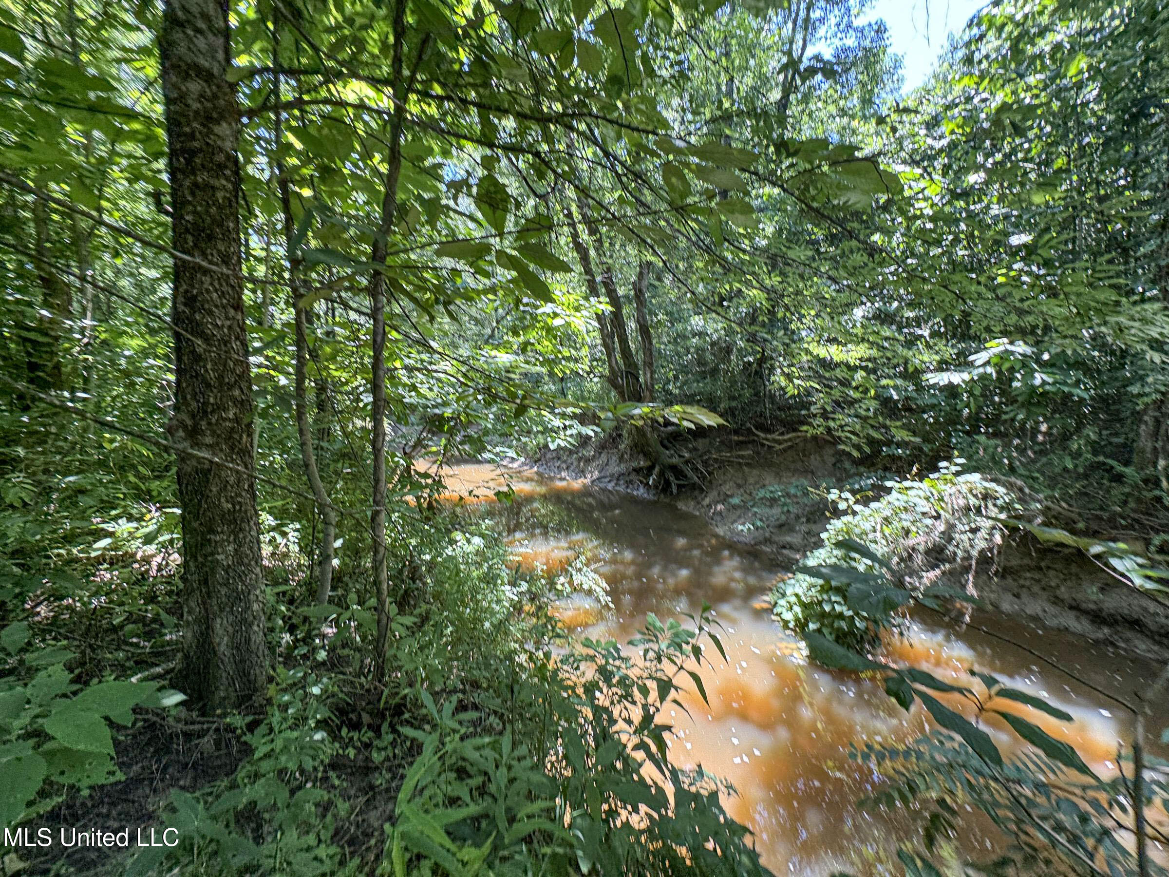 45 Highway 45 Rienzi, MS 38865 - Photo 49 of 67 4tmsnprts8