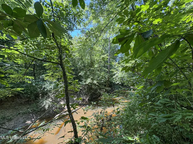 $245,700 | 45 Highway 45, Rienzi, MS 38865