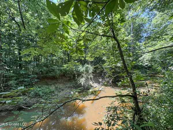 $224,000 | 45 Highway 45, Rienzi, MS 38865