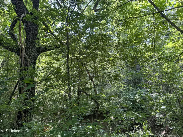 $245,700 | 45 Highway 45, Rienzi, MS 38865