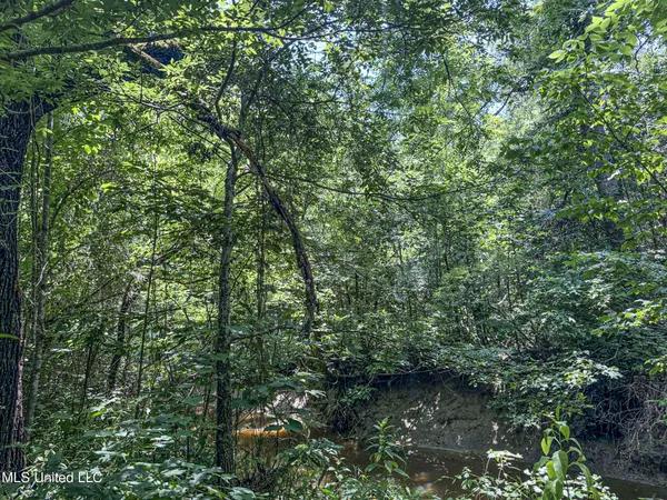 $224,000 | 45 Highway 45, Rienzi, MS 38865