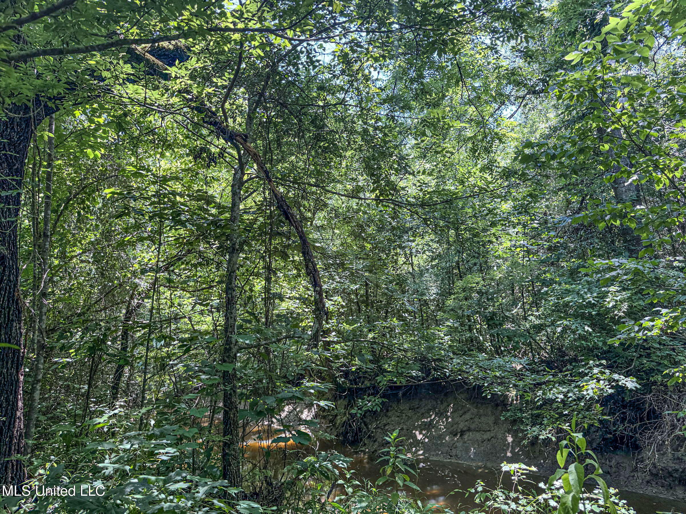 45 Highway 45 Rienzi, MS 38865 - Photo 53 of 67 4tmsnprts13