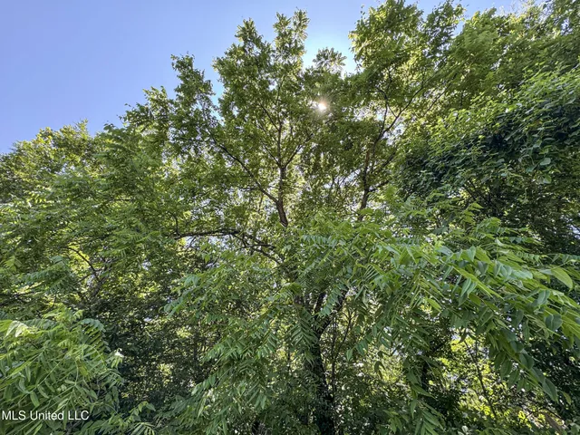 $245,700 | 45 Highway 45, Rienzi, MS 38865