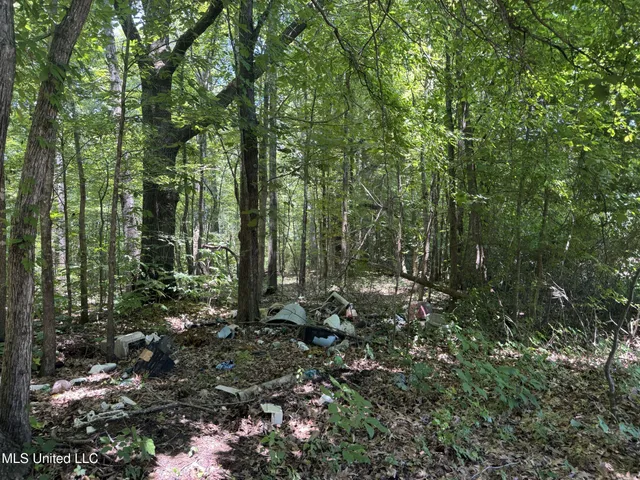 $245,700 | 45 Highway 45, Rienzi, MS 38865