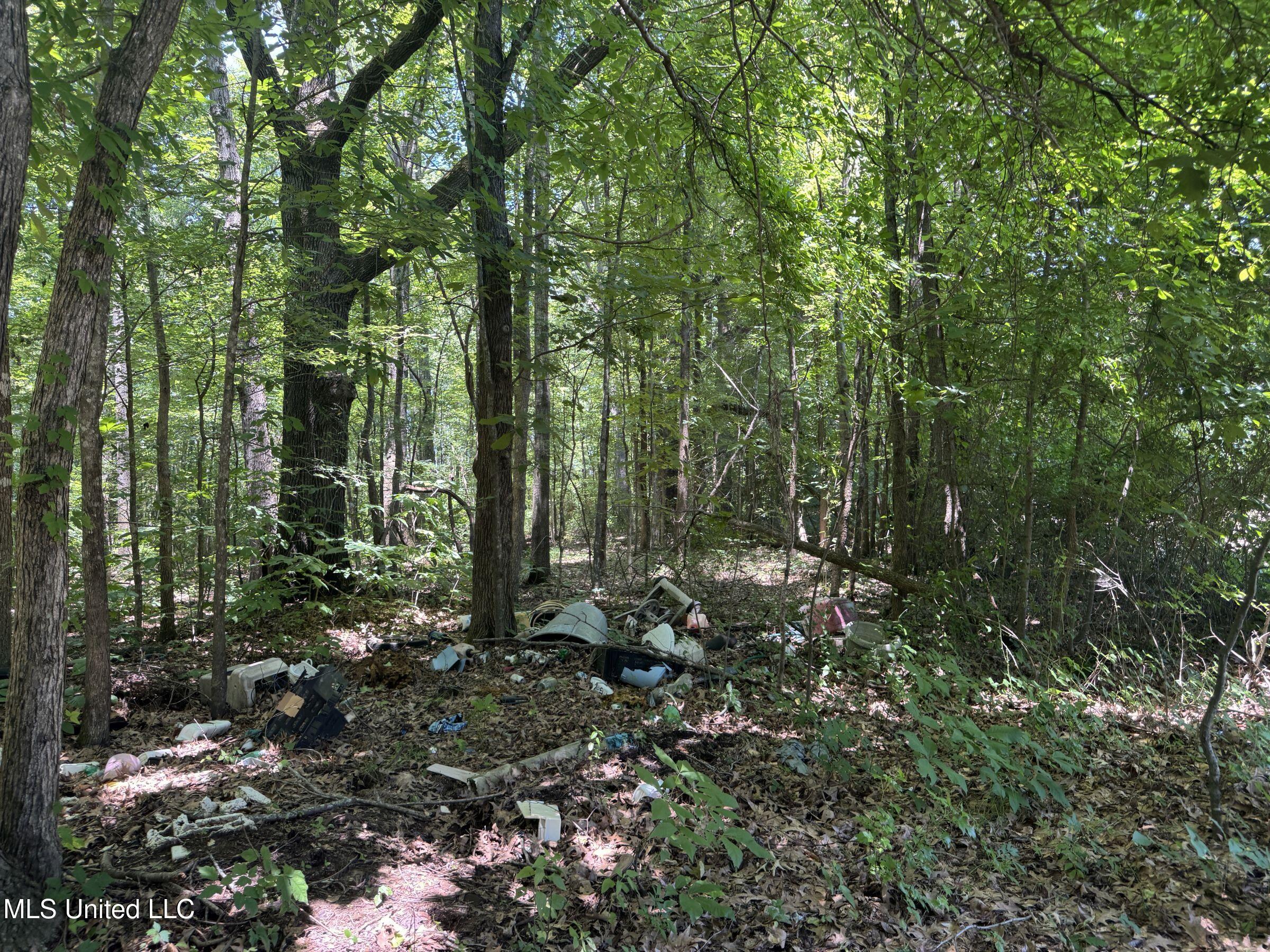 45 Highway 45 Rienzi, MS 38865 - Photo 56 of 67 4tmsnprts18