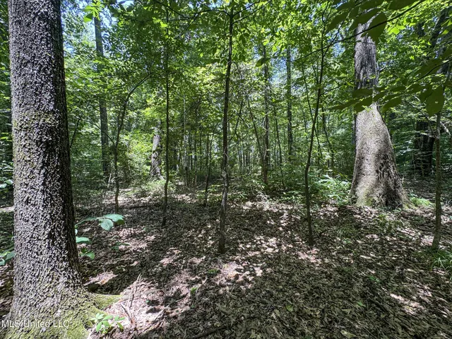 $245,700 | 45 Highway 45, Rienzi, MS 38865