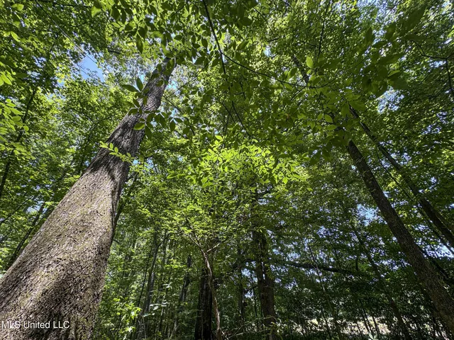 $245,700 | 45 Highway 45, Rienzi, MS 38865