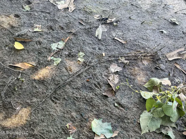 $245,700 | 45 Highway 45, Rienzi, MS 38865