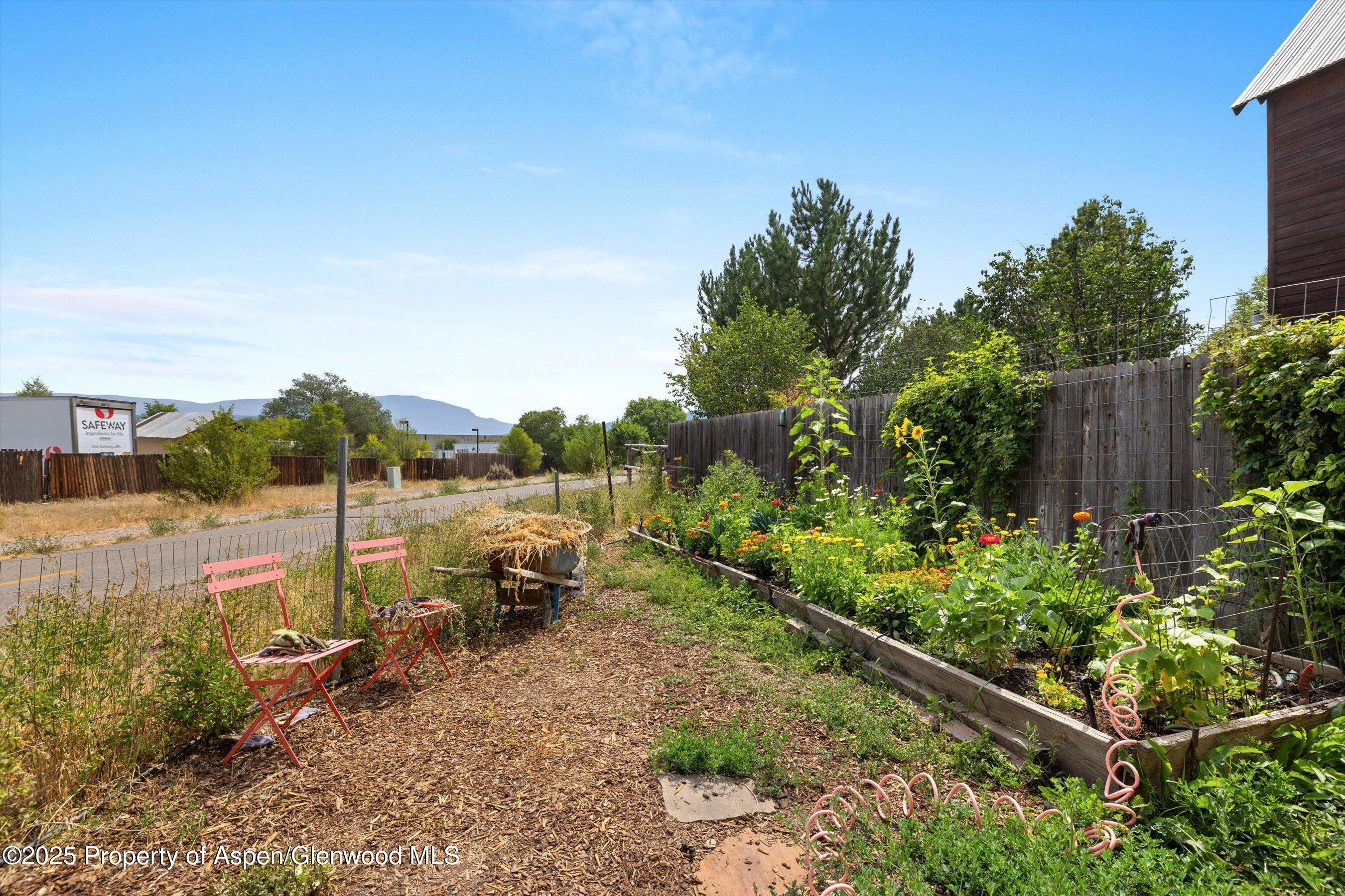 296-298 North 7th Street Carbondale, CO 81623 - Photo 9 of 11 a backyard of a house with table and chairs plants and large trees