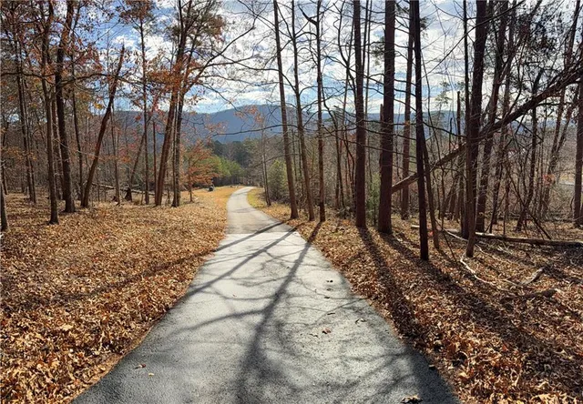 a view of a yard with large trees