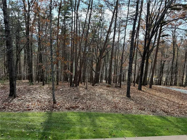 a view of backyard with green space