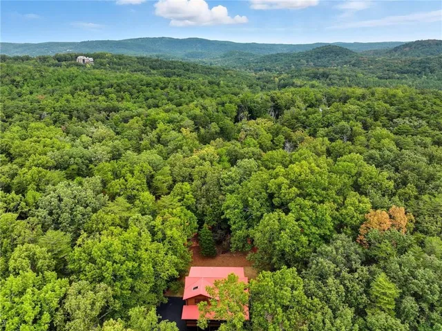 a view of a green field with lots of bushes