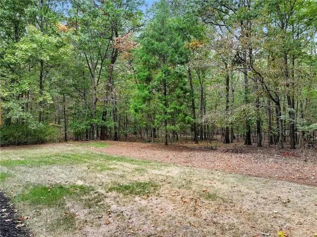 a view of a field with trees in the background