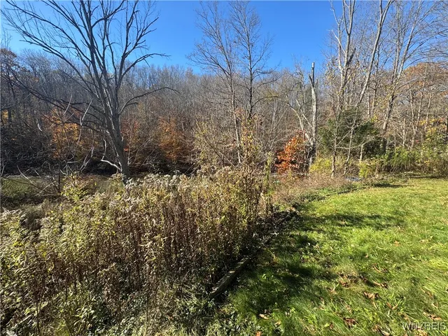 $149,900 | 8468 State Road, Colden, NY 14033