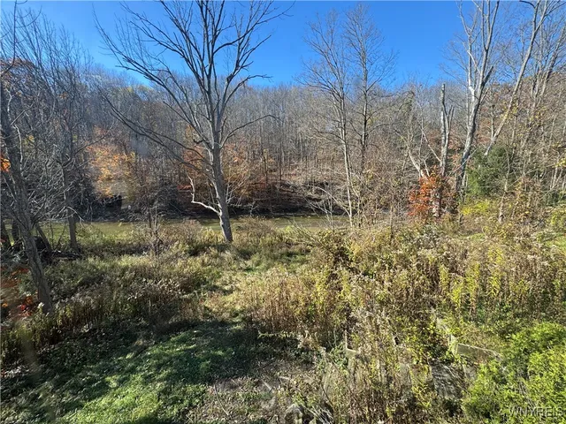 $149,900 | 8468 State Road, Colden, NY 14033