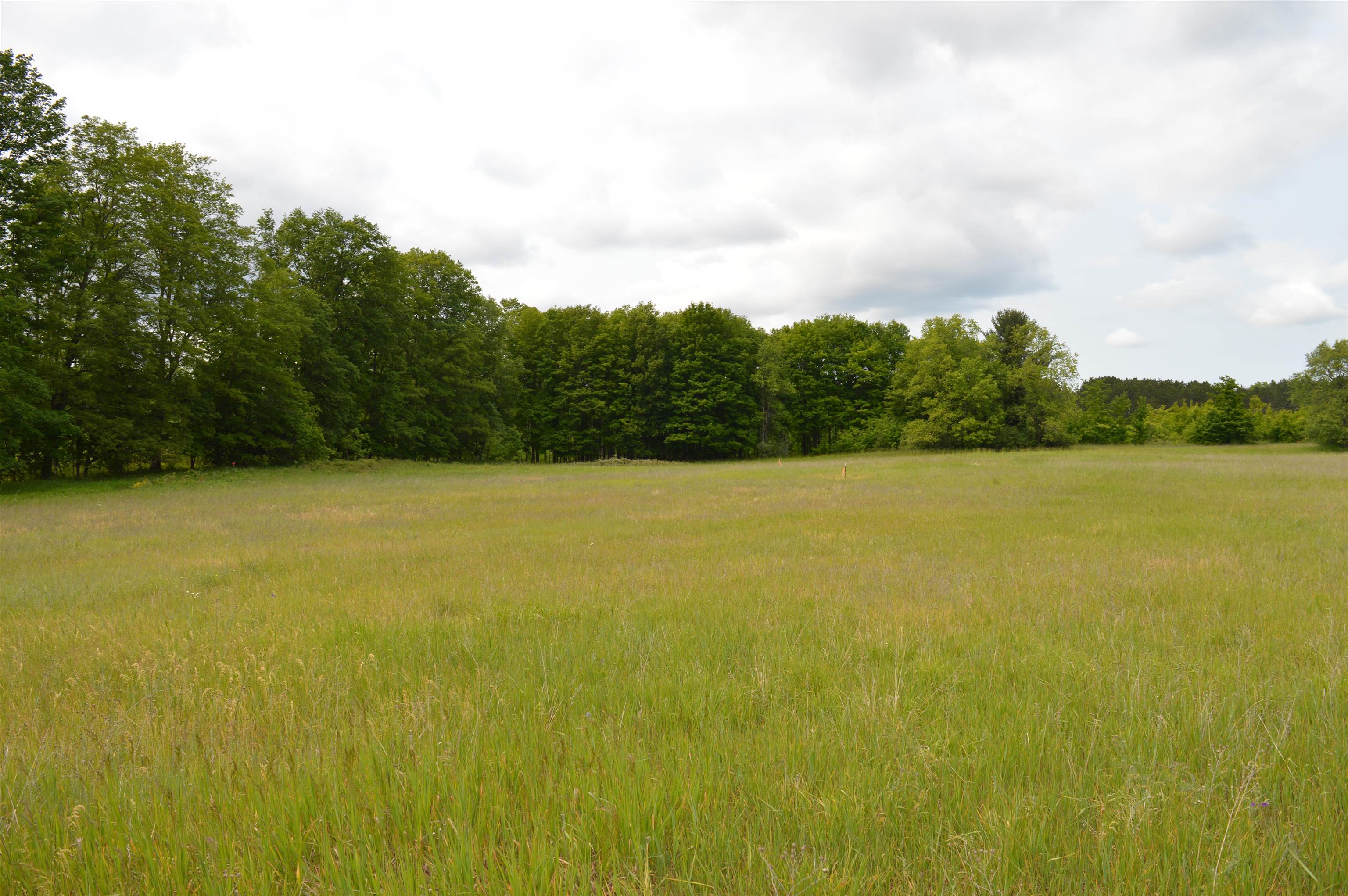 M Summit City Road, Unit LOT: M Kingsley, MI 49649 - Photo 5 of 20