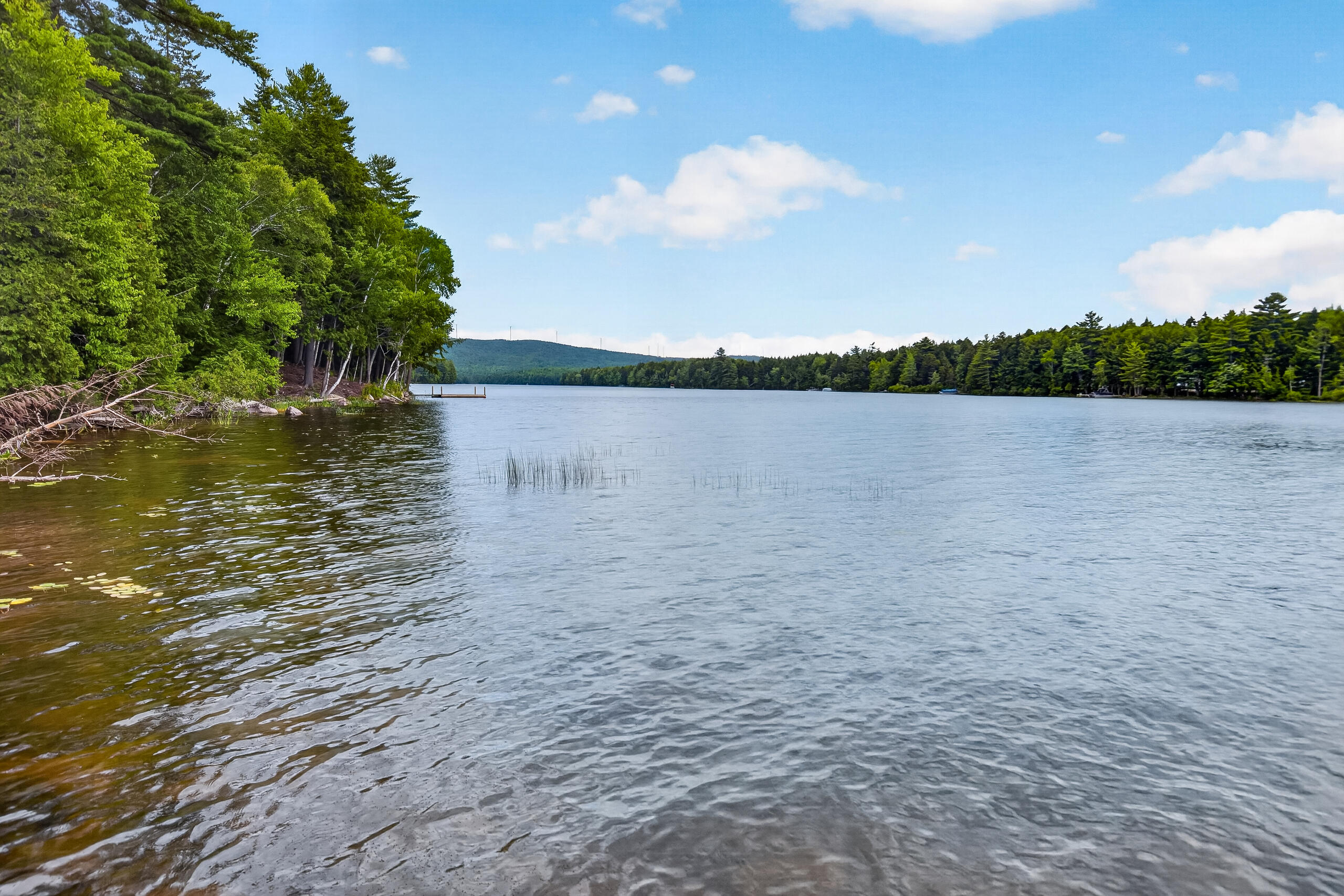 1750 Houston Road Lincoln, ME 04457 - Photo 51 of 65 _MG_4832