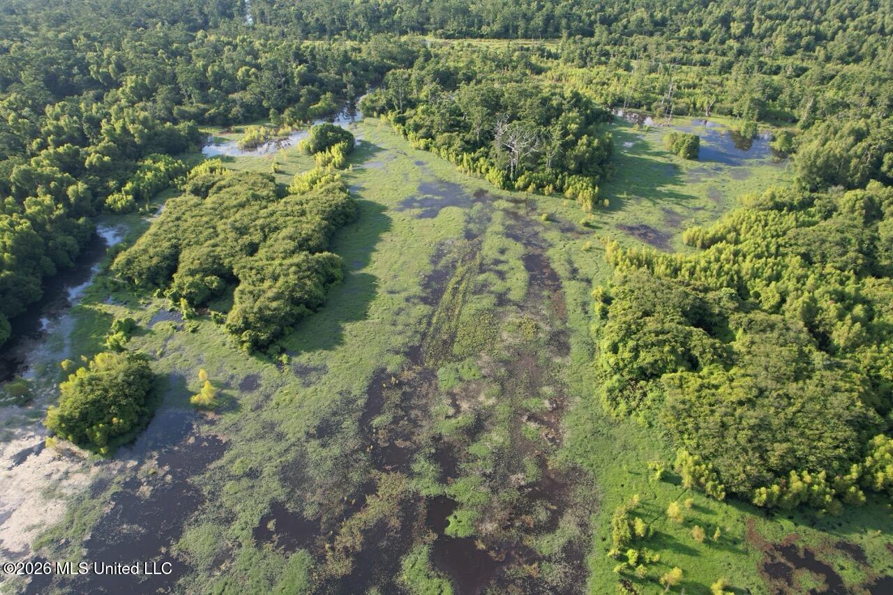 Woodlawn Road Woodville, MS 39669 - Photo 18 of 47 DJI_0341 Large
