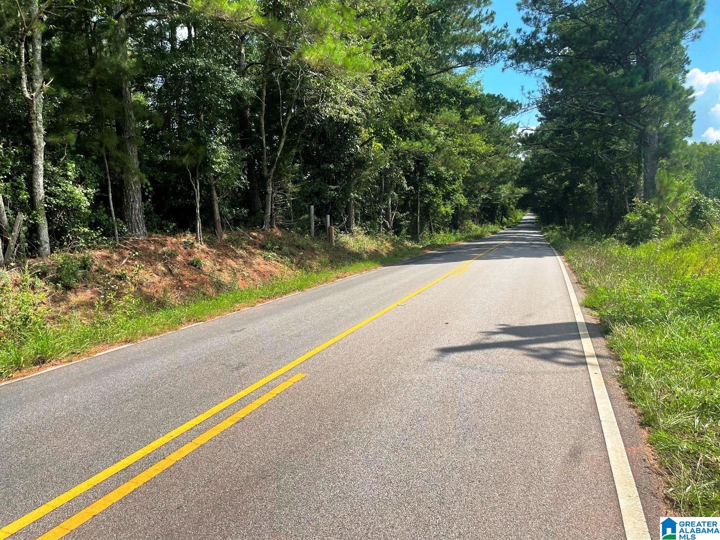 State Lake Road, Unit 24 04 Wedowee, AL 36278 - Photo 6 of 9