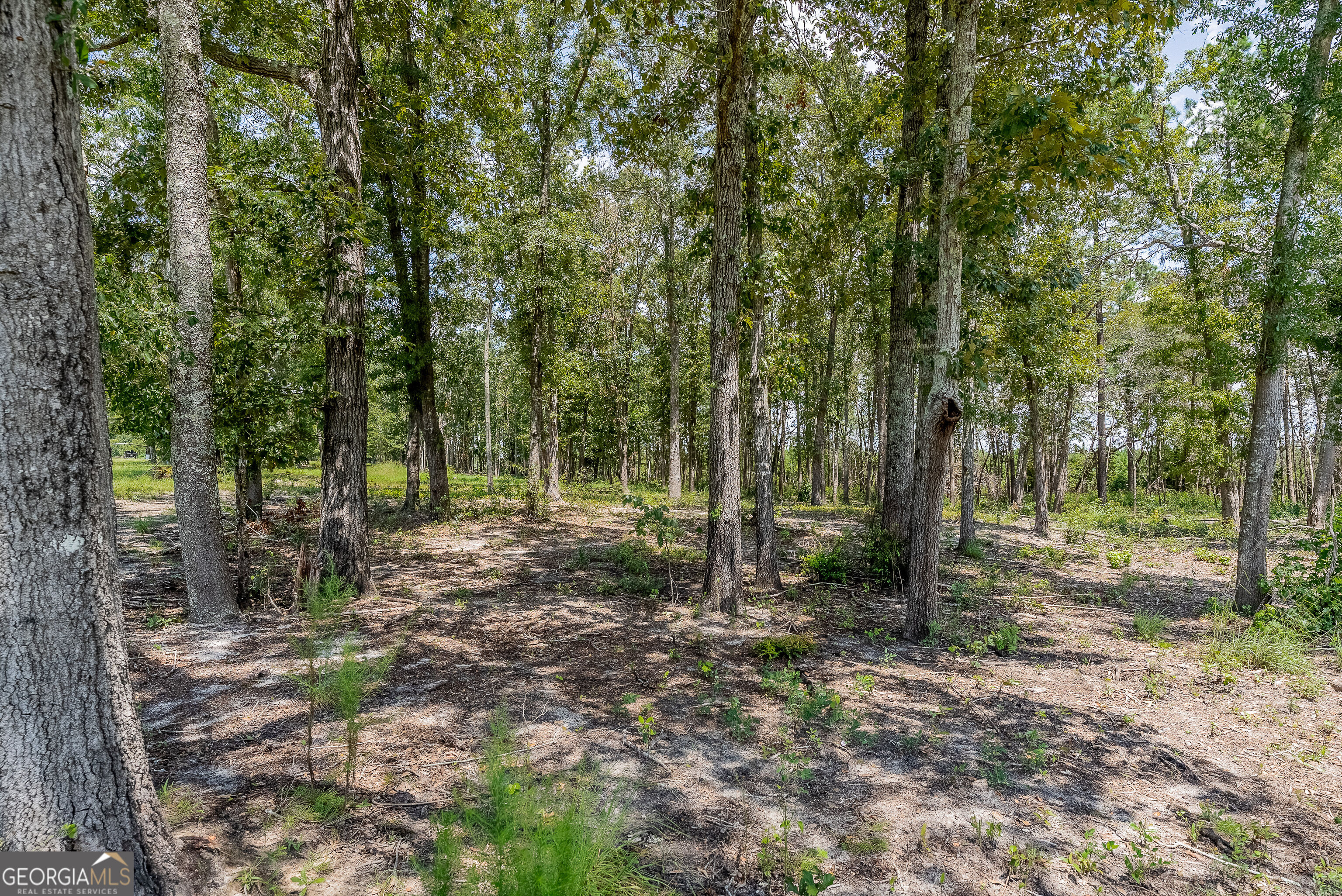 318 Cass Burnham Road Eastman, GA 31023 - Photo 65 of 77 Gallery Image 65