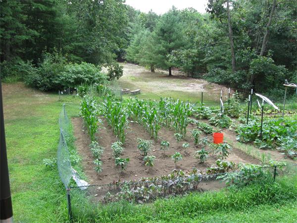 1244 Burts Pit Road Northampton, MA 01062 - Photo 21 of 30 a backyard of a house with a yard and outdoor seating