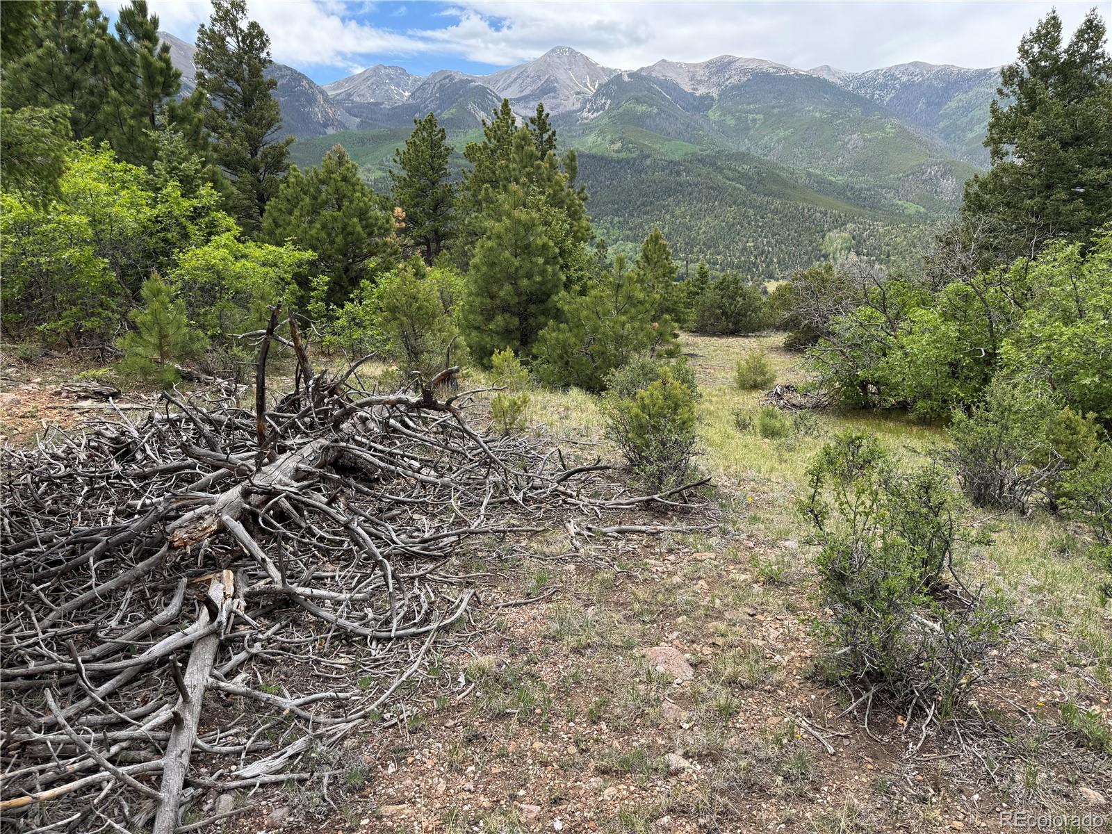 Knotty Pine Road Salida, CO 81201 - Photo 37 of 42 Gallery Image 37