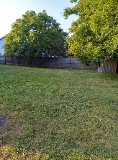 2041 Abingdon Drive La Vergne, TN 37086 - Photo 17 of 18 a backyard of a house with lots of plants and tree