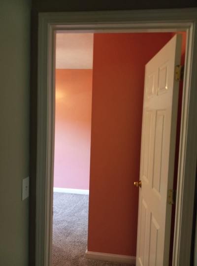2041 Abingdon Drive La Vergne, TN 37086 - Photo 9 of 18 a view of balcony