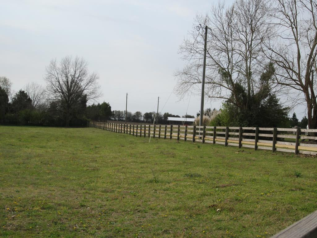 180 Harness Road Batesburg, SC 29006 - Photo 19 of 28