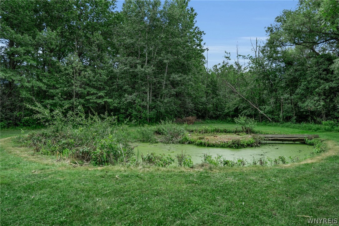 2506 Fix Road Grand Island, NY 14072 - Photo 32 of 43 Gallery Image 32