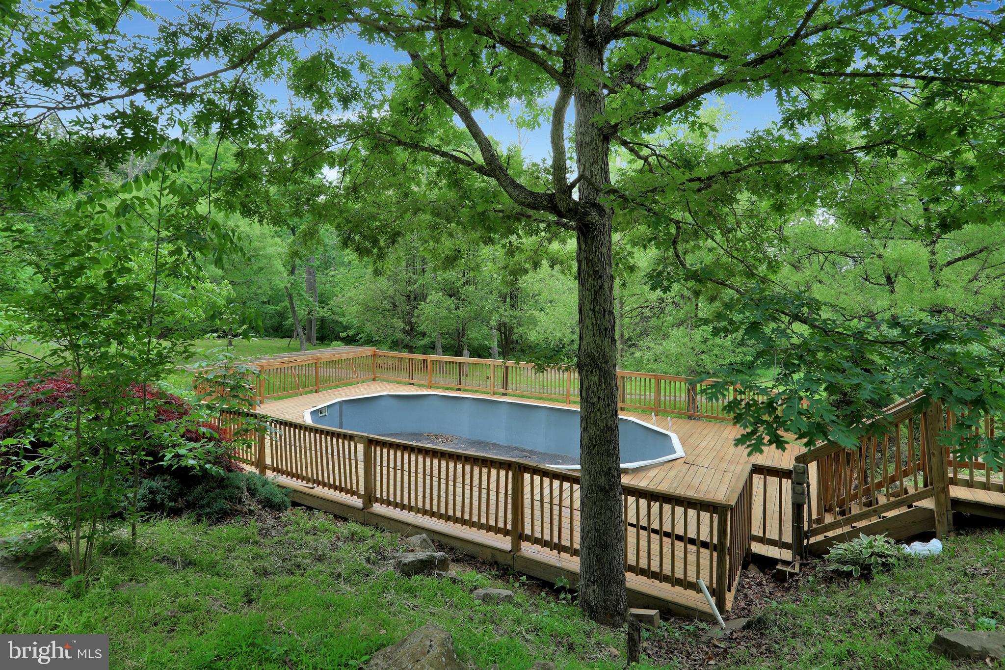 363 CCC Road Linden, VA 22642 - Photo 38 of 46 Gallery Image 38