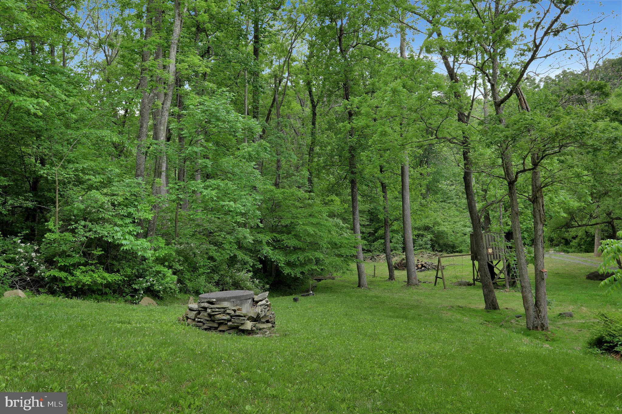 363 CCC Road Linden, VA 22642 - Photo 43 of 46 Gallery Image 43