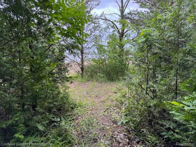 0 Lakeshore Road Forestville, MI 48434 - Photo 12 of 16 Gallery Image 12