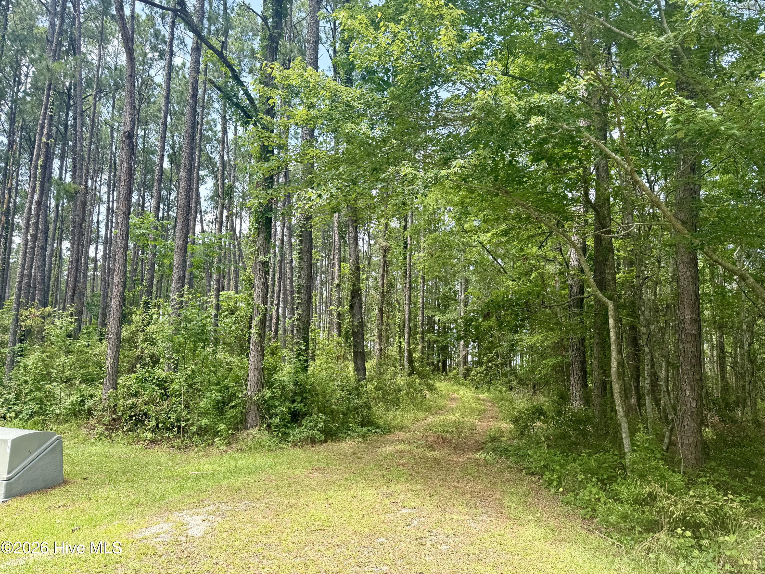 558 Sandy Point Drive Beaufort, NC 28516 - Photo 2 of 23