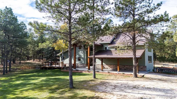 a view of a park that has a tree on the side
