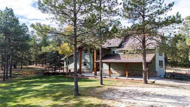 a view of a park that has a tree on the side