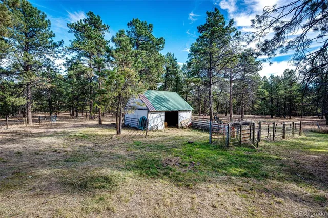 a view of park with trees