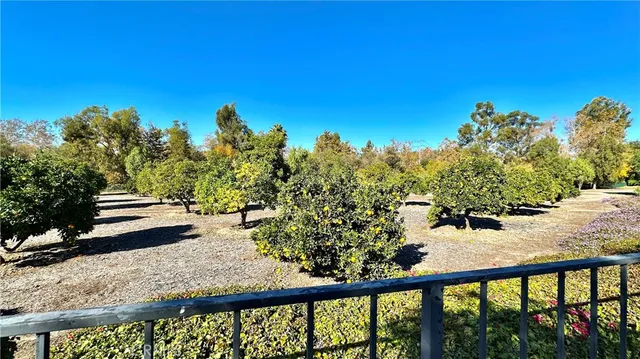 $5,600 | 25531 Orchard Rim Lane, Lake Forest, CA 92630