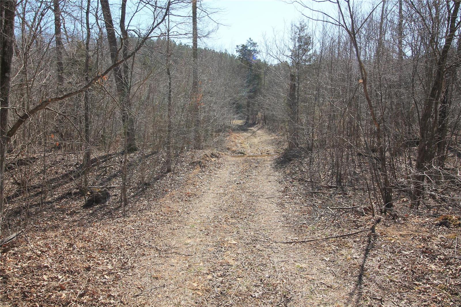 0 Madison Cr Fredericktown, MO 63645 - Photo 11 of 21